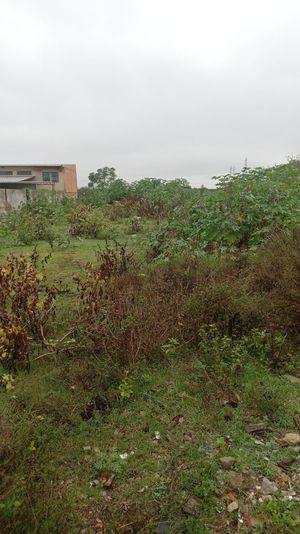 Image 3 - 250866