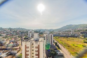Image 8 - 250878