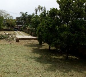 Image 3 - 251043