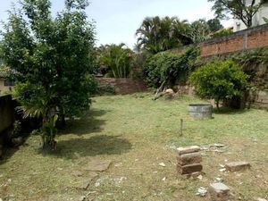Image 5 - 251043
