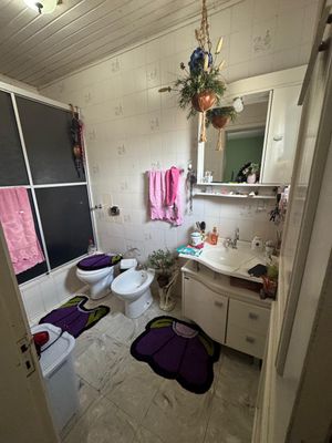 Image 23 - 251113