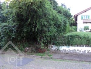 Image 3 - 251181