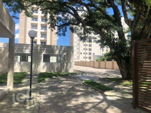 Image 15 - 251183