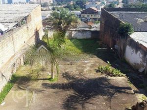 Image 6 - 251213