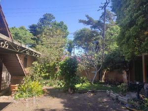 Image 13 - 251292
