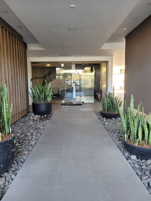 Image 7 - 251423
