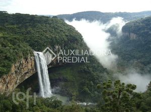Image 14 - 251426