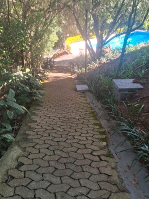 Image 18 - 251628