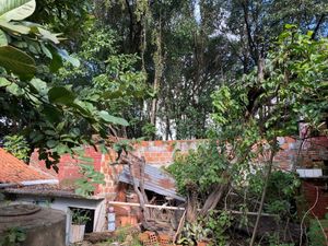 Image 25 - 251681