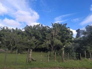 Image 1 - 251716