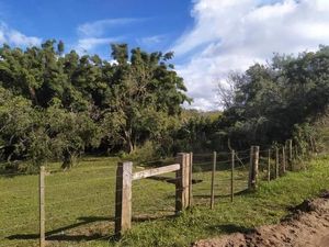 Image 2 - 251716