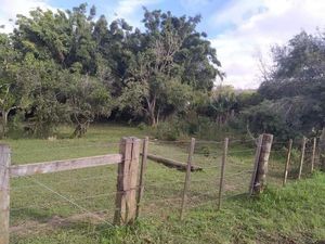 Image 3 - 251716