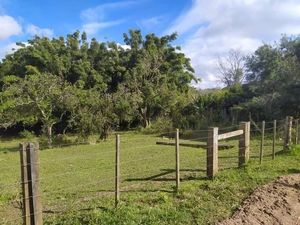 Image 4 - 251716