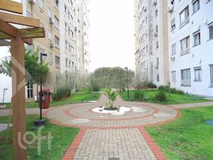 Image 17 - 251877