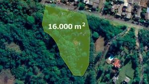 Image 10 - 252844