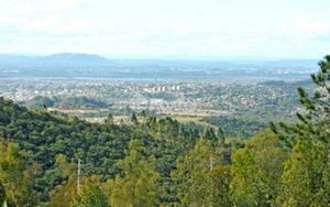 Image 1 - 253016
