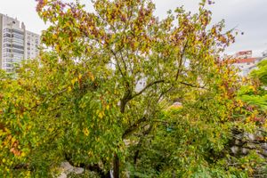 Image 9 - 253301