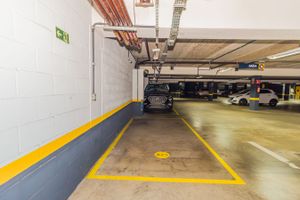 Image 31 - 253327