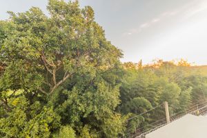 Image 37 - 253515