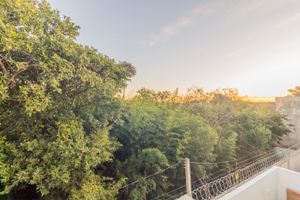 Image 42 - 253515