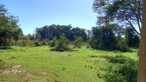 Image 2 - 253981