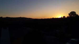 Image 3 - 254234