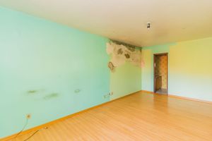 Image 36 - 254281