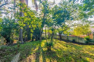 Image 76 - 254281