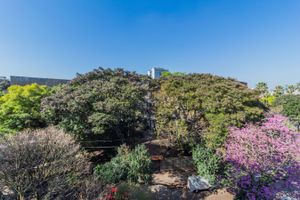 Image 3 - 254283
