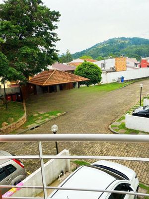 Image 30 - 254481