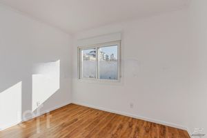 Image 15 - 255567