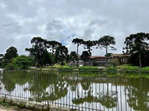 Image 16 - 255820