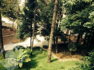 Image 8 - 255987