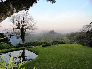 Image 23 - 255992