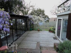 Image 19 - 255992