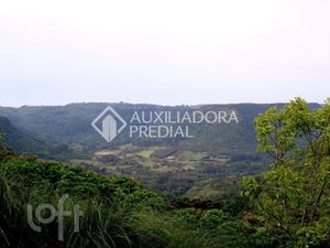 Image 6 - 255992