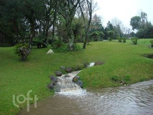 Image 14 - 255992