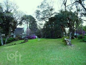 Image 20 - 255992