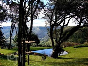 Image 5 - 255992