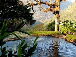 Image 12 - 255992