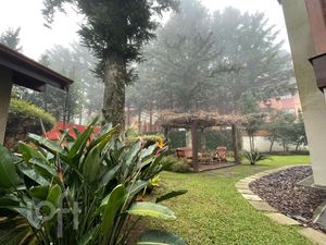 Image 25 - 256038
