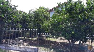 Image 37 - 256278