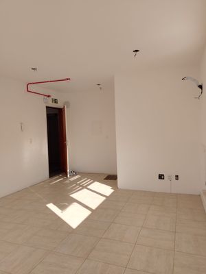 Image 3 - 256506