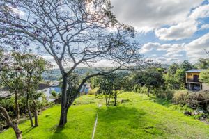 Image 22 - 256531