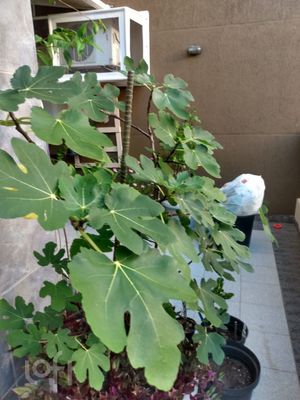 Image 15 - 256994
