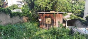 Image 2 - 257367