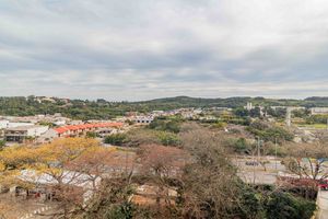 Image 24 - 257426