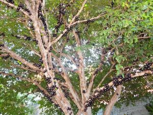 Image 16 - 258145