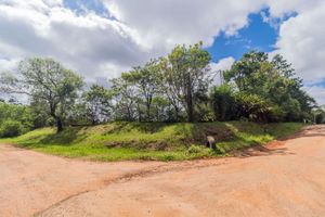 Image 3 - 258911
