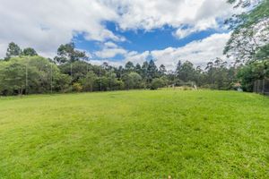 Image 4 - 258911